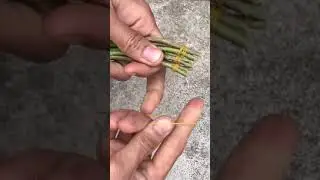 How to make crafts flower growing.