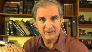 How the Brain Works: Brain Anatomy and Coordination, Video 4 of 20