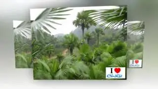 Câu Ca Em Hát Phú Thọ Quê Mình - Thanh Hoa