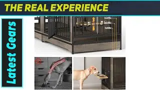 Amazing Double Dog Crate Furniture: A Dream for Two Dogs!