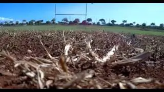 FreeX MCFX test flight