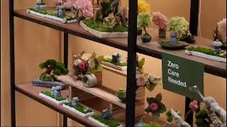 Cute Preserved Plants by Slow Green #2024 #singapore #flowers