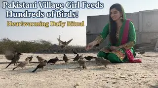 Hidden Camera Catches Birds Fighting & Feeding on Rooftop 🐦🍚 | Real Bird Behavior