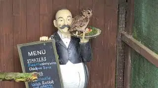 The Owls Trust, Llandudno. WARNING GRAPHIC content