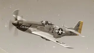 German Captured Pilots Couldn't Believe at the P 51 Mustang, Until Its API Rounds Set Their Bombers