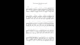 finesleap / That Summer Recollections op.32