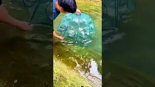 20-Hole Foldable Fishing Net | Easy Crayfish, Shrimp & Crab Catcher