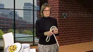 Epigenetic rap song Kate Sullivan