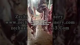 Halal Cattle Slaughter Line Of Bovine Cow Religious Rotation Killing Box Whatsap: +86 18652967546