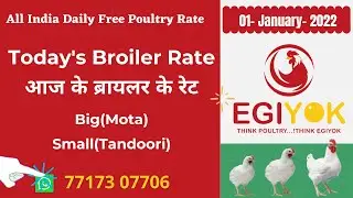 Today's Broiler Rate (01Jan 2022) Today Broiler Chicken Rate | Today Broiler Price | Murga Ka Rate