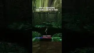 Endless Archive Treacherous Crossing Puzzle Solo (Not A Guide) | ESO #short #gamergirl