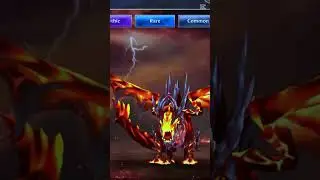 Wolf Tales - 5 Favourits Fantasy DRAGONS!!!🐉🐉🐉