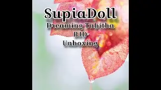 SupiaDoll Dreaming Tabitha BJD Unboxing Supia Doll
