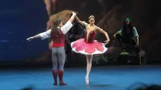 Ekaterina Borchenko & Ivan Vasiliev-La Corsaire PDD & Variation