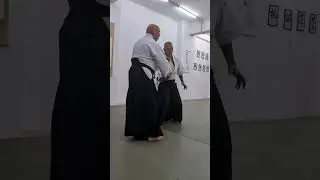 White Rose Aikikai - Athens 2025 - May 2nd - Shane Riley Shihan - Clip 04