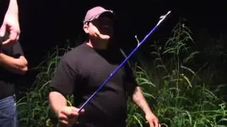 Florida Gator Hunt