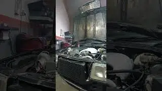 W201 with OM606 Dyno pull