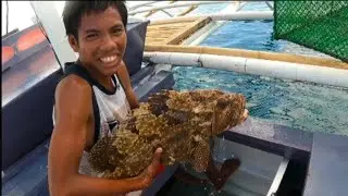 Halos 10,000 Ang Kinita Sa Isang Fish trap 