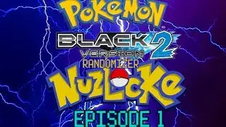 TLTPG POKEMON BLACK 2 RANDOMIZER NUZLOCKE EP 1 W/TB2 
