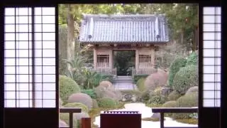 The Best Relaxing Music   Beam of Light
