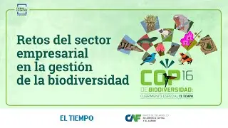 Conversatorio Retos del sector empresarial en la gestión de la biodiversidad | El Tiempo