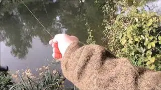 A session on the River Bure, Coltishall