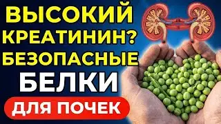 Как Защитить Почки С Помощью 10 Белков, Которые Снижают Уровень Креатинина