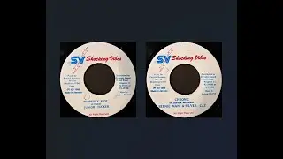 Junior Tucker - Properly Ride / Beenie Man & Silver Cat - Chronic (P. Roberts - Shocking Vibes 1995)