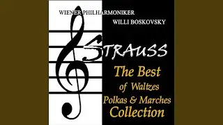 Carnevals-Botschafter, Op. 270