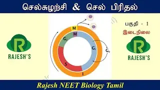 Cell cycle and cell division - in tamil-   part 1