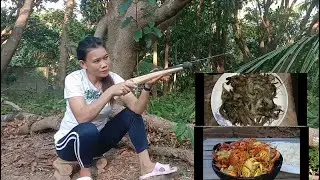 SPEARGUN MAKING and CATCHIG FRESHWATER SHRIMP