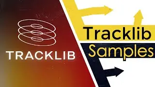 Hot Tracklib Samples You Need to Know About