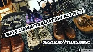 Shoe Activity: Teaching Characterization and Inferences