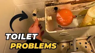 Bathroom Improvements & Toilet Cistern Replacement