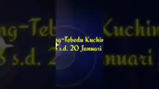 Kegiatan ke Entikong Tebedu