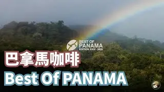 BOP巴拿馬咖啡，為什麼BOP是全世界最頂級的咖啡？拍賣價屢破紀錄