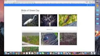 How To Create An Album In Google Photos