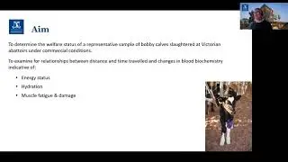 Improving the welfare of young calves &ndash; feeding, transport and surgical husbandry practices