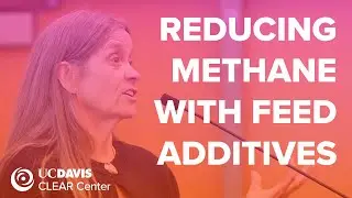 Improving Beef and Dairy Production Efficiency while Reducing Environmental Impacts