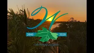 Celebrating 20 Years in Waterlefe   HD 1080p