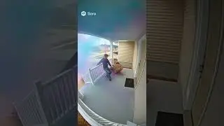 Porch Pirate Got NUKED From The Glitter Bomb 9000💥💀