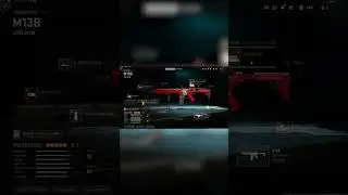 M13B *INSANE* MW2 LOADOUT