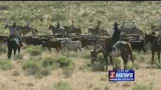 6/13-11pm-Cattle Drive