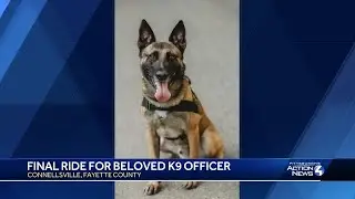 'You're now free of duty': K9 Ambroos put to rest following battle with cancer, procession in Con...