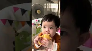 Adorable Baby Girl Playing Alone So Happily 😍 #baby #cutebaby #babyshorts