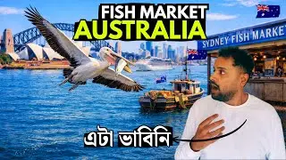 অস্ট্রেলিয়াতে মাছের বাজার দেশের থেকে কতটা আলাদা | SYDNEY FISH MARKET 