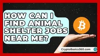 How Can I Find Animal Shelter Jobs Near Me? | Animal Care Jobs