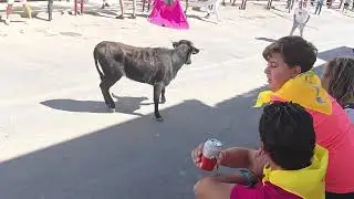 Vaquillas  de zambra fiestas virgen de gracia 13:30 5/10/25