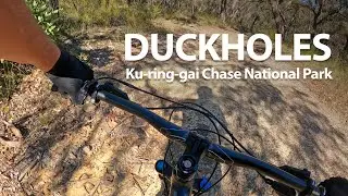 Duckhole Track | Mountain Bike Ride in Ku-ring-gai Chase National Park