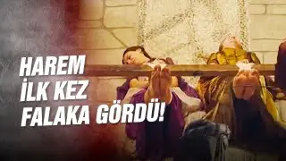 Haremde FALAKA ŞOKU!